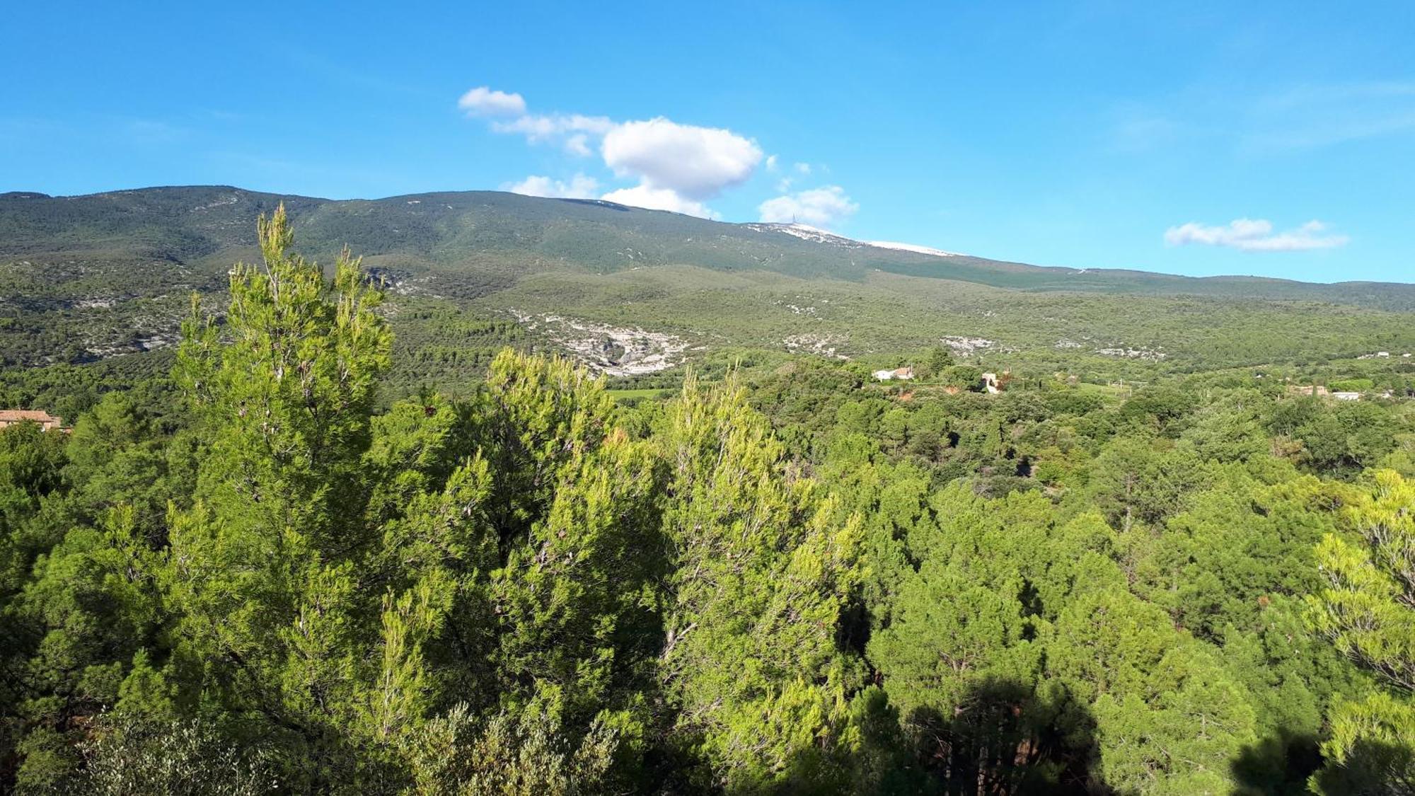 La Carriera, Petite Maison Sud Ventoux, Au Charme Provencal Bedoin Ngoại thất bức ảnh